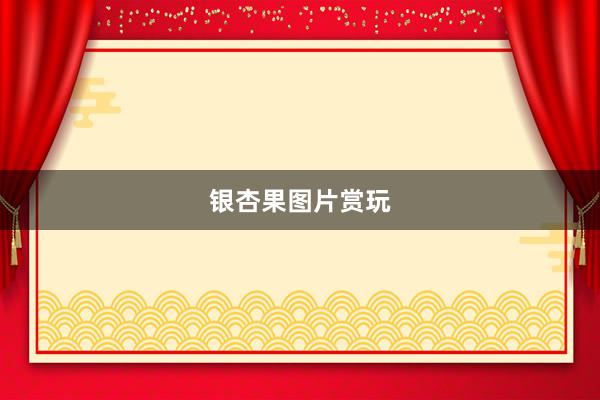 银杏果图片赏玩
