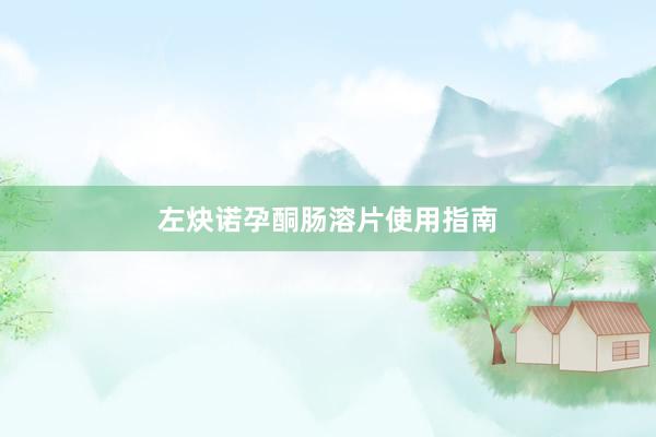 左炔诺孕酮肠溶片使用指南